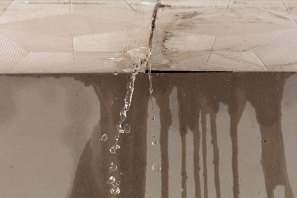 Professional Water Damage Inspection technician working in Pandora, TX